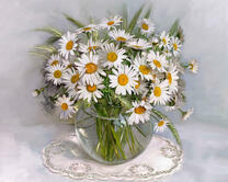 Без бренда «2KMA-0021» в Кирове