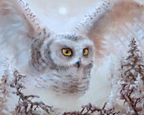 Без бренда «2KMB-3848» в Кирове