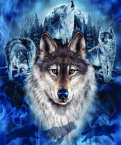 Без бренда «2KXSB-0687» в Кирове