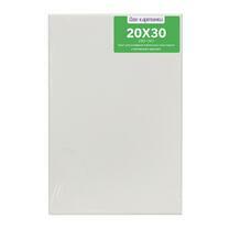 Без бренда «Коробка 80 шт.: Холст Две картинки на подрамнике 20X30» в Кирове