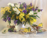 Без бренда «Натюрморт из мимоз и колокольчиков (20шт)» в Кирове