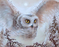 Без бренда «Полярная сова над лесом (20шт)» в Кирове