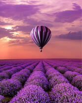 Без бренда «Фиолетовый воздушный шар над фиолетовым лавандовым полем (20шт)» в Кирове