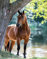 Без бренда «BOX20-2KMB-4594» в Кирове