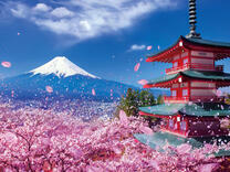 Без бренда «BOX20-2KSB-7277» в Кирове