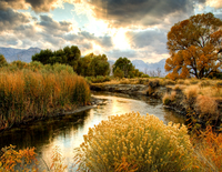 Без бренда «BOX25-GX29355» в Кирове