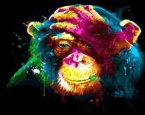 Яркий шимпанзе