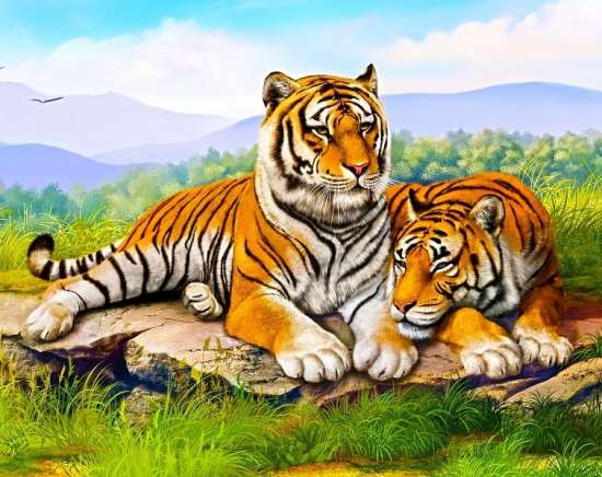 Картина по номерам 40x50 Два тигра на камне