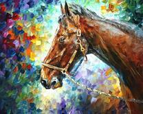 Лошадь на разноцветном фоне