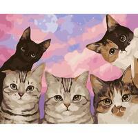 Без бренда «Такие разные котики» в Кирове в интернет-магазине  Без бренда «Такие разные котики» в Кирове