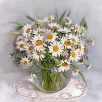 Без бренда «Букет свежих ромашек» в Кирове