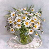 Без бренда «Букет свежих ромашек» в Кирове