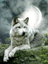 Без бренда «Коробка 25 шт. картин по номерам BOX25-GX21058» в Кирове