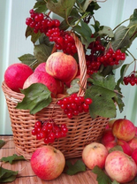 Без бренда «Коробка 25 шт. картин по номерам BOX25-GX5174» в Кирове в интернет-магазине  Без бренда «Коробка 25 шт. картин по номерам BOX25-GX5174» в Кирове