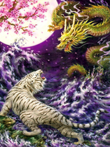 Белый тигр и дракон