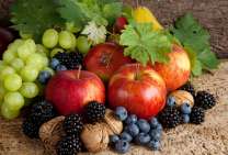 Без бренда «Фрукты, ягоды и орехи» в Кирове в интернет-магазине  Без бренда «Фрукты, ягоды и орехи» в Кирове