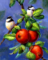 Без бренда «Две синички на яблоках» в Кирове в интернет-магазине  Без бренда «Две синички на яблоках» в Кирове