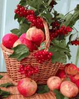 Без бренда «Плетёная корзина с калиной и яблоками» в Кирове