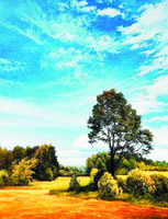 Без бренда «Осенний пейзаж с голубым небом» в Кирове в интернет-магазине  Без бренда «Осенний пейзаж с голубым небом» в Кирове