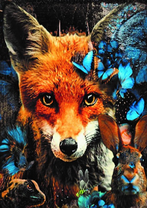 Без бренда «Лиса и синие бабочки» в Кирове