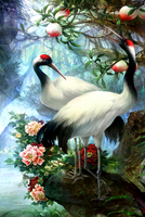 Без бренда «Коробка 25 шт. картин по номерам BOX25-GX29399» в Кирове в интернет-магазине  Без бренда «Коробка 25 шт. картин по номерам BOX25-GX29399» в Кирове