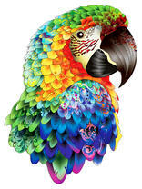 Яркий ара с радужными перьями