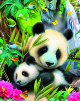 Две панды в сказочном лесу