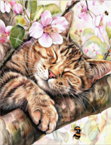 Без бренда «Волосатый котик спит на ветви яблони» в Кирове