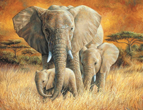 Слониха и ее дети